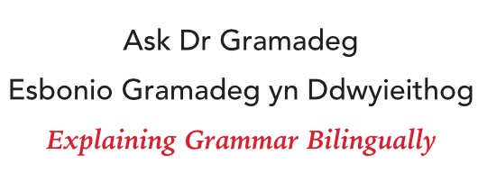 Ask Dr Gramadeg