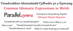 Common Idiomatic Expressions in Welsh