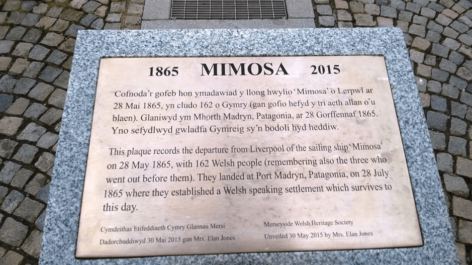 Plaque Mimosa