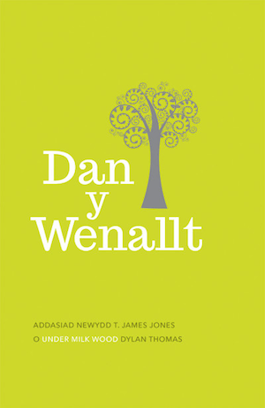 Dan y Wenallt