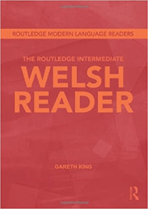 The Intermediate Welsh Reader by Gareth King