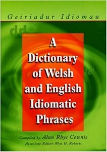 Geiriadur Idiomau- A Dictionary of Welsh and English Idiomatic Phrases