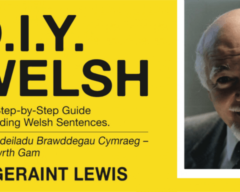 Geraint Lewis DIY Welsh