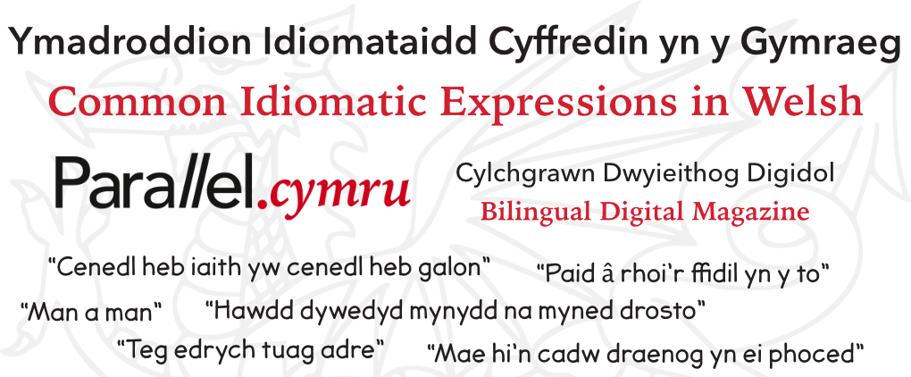 Idiomatic Expressions in Welsh