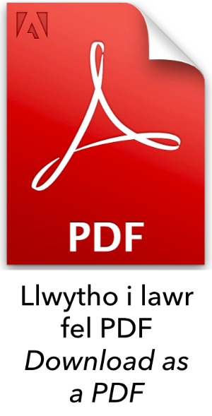 Llwytho i Lawr fel PDF