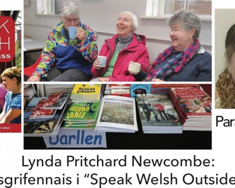 Lynda Newcombe- Speak Welsh Outside Class