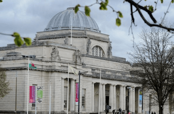 Cardiff Museum