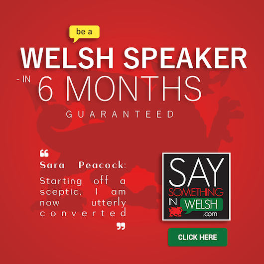 Say Something In Welsh