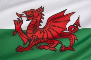 Welsh dragon flag