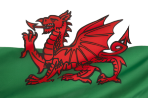 Welsh dragon flag