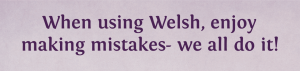 When using Welsh, enjoy making mistakes- we all do it